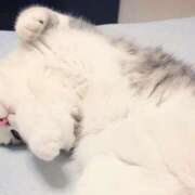 ヒメ日記 2025/12/16 05:47 投稿 西本 MadameRest(マダムレスト)