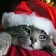 ヒメ日記 2025/12/19 20:04 投稿 西本 MadameRest(マダムレスト)