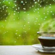 ヒメ日記 2025/12/21 06:42 投稿 西本 MadameRest(マダムレスト)