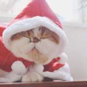 ヒメ日記 2025/12/22 08:51 投稿 西本 MadameRest(マダムレスト)