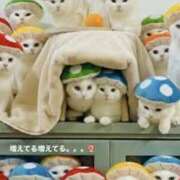 ヒメ日記 2025/12/23 09:54 投稿 西本 MadameRest(マダムレスト)