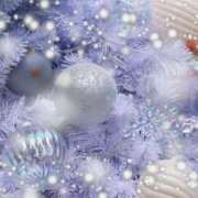 ヒメ日記 2025/12/24 05:59 投稿 西本 MadameRest(マダムレスト)