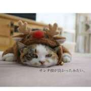 ヒメ日記 2025/12/25 06:51 投稿 西本 MadameRest(マダムレスト)