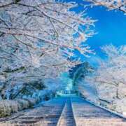 ヒメ日記 2025/12/27 09:26 投稿 西本 MadameRest(マダムレスト)