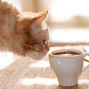 ヒメ日記 2025/12/28 06:22 投稿 西本 MadameRest(マダムレスト)