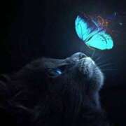 ヒメ日記 2025/12/28 20:49 投稿 西本 MadameRest(マダムレスト)