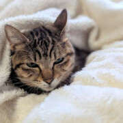 ヒメ日記 2025/12/29 06:01 投稿 西本 MadameRest(マダムレスト)