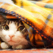 ヒメ日記 2025/12/30 06:17 投稿 西本 MadameRest(マダムレスト)