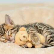 ヒメ日記 2025/12/31 06:42 投稿 西本 MadameRest(マダムレスト)