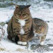 ヒメ日記 2026/01/05 06:01 投稿 西本 MadameRest(マダムレスト)