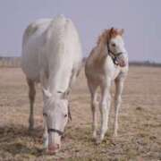 ヒメ日記 2026/01/07 05:57 投稿 西本 MadameRest(マダムレスト)