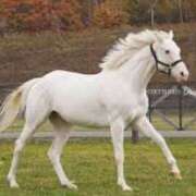 ヒメ日記 2026/01/10 05:51 投稿 西本 MadameRest(マダムレスト)