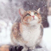 ヒメ日記 2026/01/12 05:57 投稿 西本 MadameRest(マダムレスト)