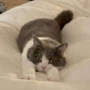 ヒメ日記 2026/01/13 09:20 投稿 西本 MadameRest(マダムレスト)