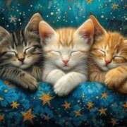 ヒメ日記 2026/01/16 21:25 投稿 西本 MadameRest(マダムレスト)