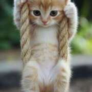 ヒメ日記 2026/01/20 12:43 投稿 西本 MadameRest(マダムレスト)