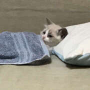 ヒメ日記 2026/01/20 22:24 投稿 西本 MadameRest(マダムレスト)