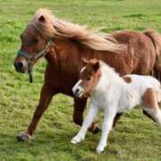 ヒメ日記 2026/01/22 05:58 投稿 西本 MadameRest(マダムレスト)