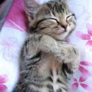 ヒメ日記 2026/01/24 18:57 投稿 西本 MadameRest(マダムレスト)