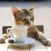 ヒメ日記 2026/01/30 06:15 投稿 西本 MadameRest(マダムレスト)