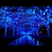 ヒメ日記 2026/01/30 20:19 投稿 西本 MadameRest(マダムレスト)