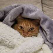 ヒメ日記 2026/01/31 05:52 投稿 西本 MadameRest(マダムレスト)