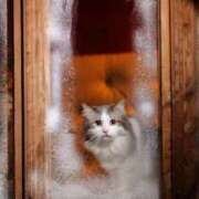 ヒメ日記 2026/01/31 08:47 投稿 西本 MadameRest(マダムレスト)