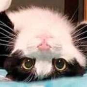 ヒメ日記 2026/02/01 03:18 投稿 西本 MadameRest(マダムレスト)