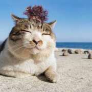 ヒメ日記 2026/02/02 05:39 投稿 西本 MadameRest(マダムレスト)