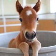 ヒメ日記 2026/02/03 05:32 投稿 西本 MadameRest(マダムレスト)