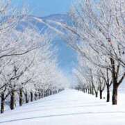 ヒメ日記 2026/02/09 08:58 投稿 西本 MadameRest(マダムレスト)