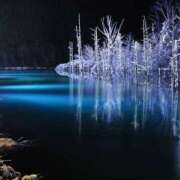 ヒメ日記 2026/02/13 20:52 投稿 西本 MadameRest(マダムレスト)