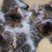 ヒメ日記 2026/02/15 07:10 投稿 西本 MadameRest(マダムレスト)