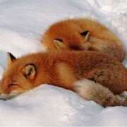 ヒメ日記 2026/02/19 21:44 投稿 西本 MadameRest(マダムレスト)