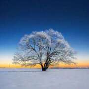 ヒメ日記 2026/02/23 05:46 投稿 西本 MadameRest(マダムレスト)