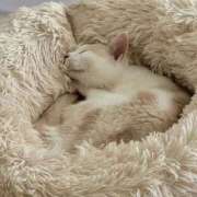 ヒメ日記 2026/02/23 19:29 投稿 西本 MadameRest(マダムレスト)