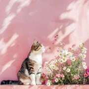 ヒメ日記 2026/02/24 05:37 投稿 西本 MadameRest(マダムレスト)