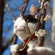 ヒメ日記 2026/02/24 08:50 投稿 西本 MadameRest(マダムレスト)