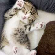 ヒメ日記 2026/02/27 18:33 投稿 西本 MadameRest(マダムレスト)