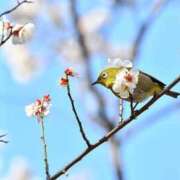 ヒメ日記 2026/02/28 08:51 投稿 西本 MadameRest(マダムレスト)