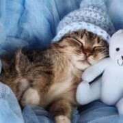 ヒメ日記 2026/03/01 22:17 投稿 西本 MadameRest(マダムレスト)