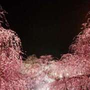 ヒメ日記 2026/03/02 20:48 投稿 西本 MadameRest(マダムレスト)