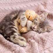 西本 ✨出勤しました✨ MadameRest(マダムレスト)