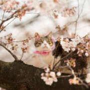 ヒメ日記 2026/03/06 09:21 投稿 西本 MadameRest(マダムレスト)