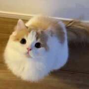 ヒメ日記 2026/03/07 05:39 投稿 西本 MadameRest(マダムレスト)