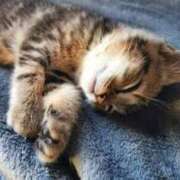 ヒメ日記 2026/03/08 21:50 投稿 西本 MadameRest(マダムレスト)