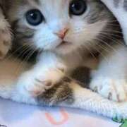 ヒメ日記 2026/03/09 06:01 投稿 西本 MadameRest(マダムレスト)