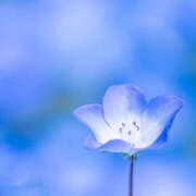 ヒメ日記 2026/03/14 05:52 投稿 西本 MadameRest(マダムレスト)