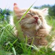 ヒメ日記 2026/03/15 06:00 投稿 西本 MadameRest(マダムレスト)