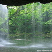 ヒメ日記 2026/03/17 06:04 投稿 西本 MadameRest(マダムレスト)